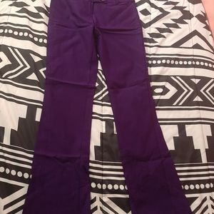 💜2/$15 or 4/$25 Wild Punch Purple Business Pants